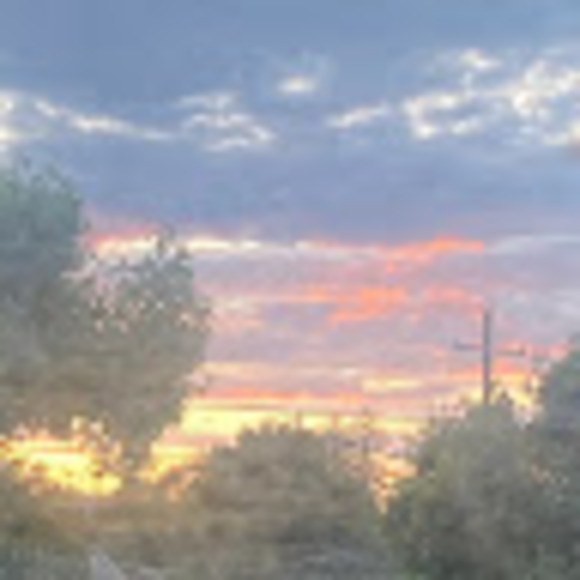 Meet your Posher, Arianna - Picture 1 of 1